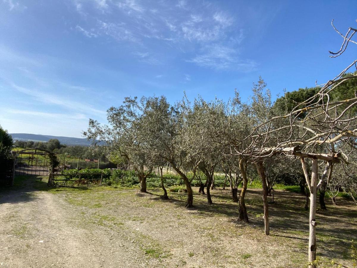 B&B Il Girasole SantʼAnna Arresi Exterior foto