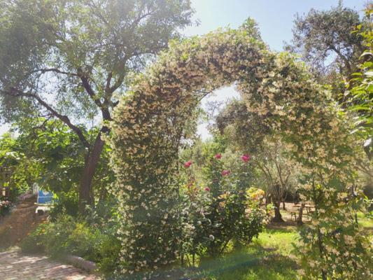 B&B Il Girasole SantʼAnna Arresi Exterior foto