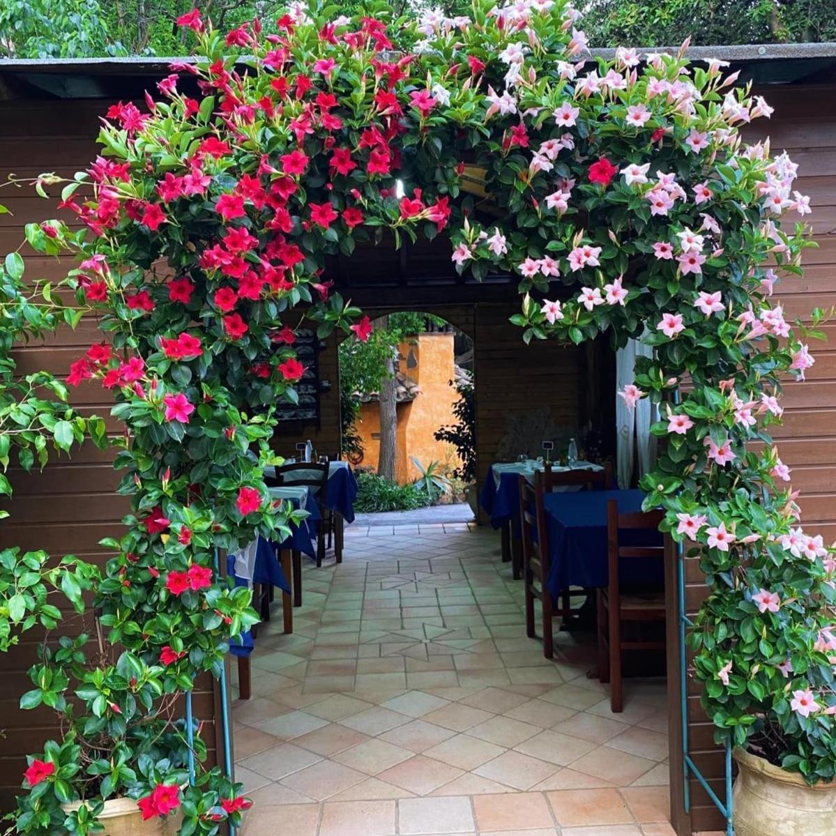 B&B Il Girasole SantʼAnna Arresi Exterior foto